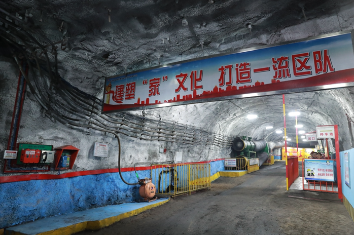 標(biāo)準(zhǔn)化.png